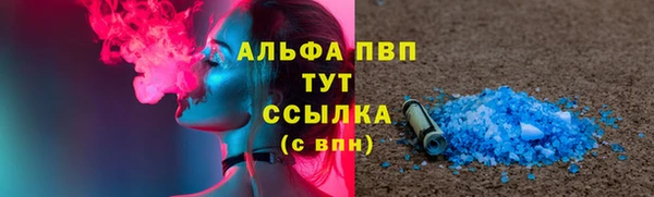 прущие грибы Бронницы