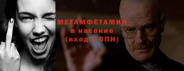 прущие грибы Бронницы