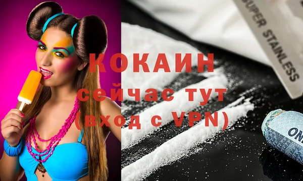 прущие грибы Бронницы