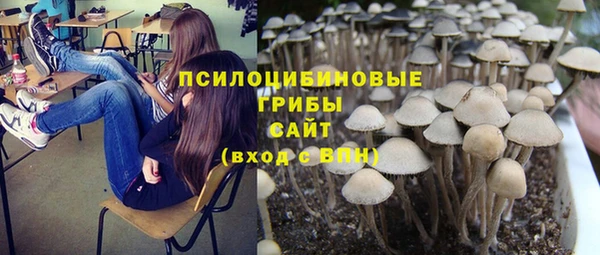 прущие грибы Бронницы