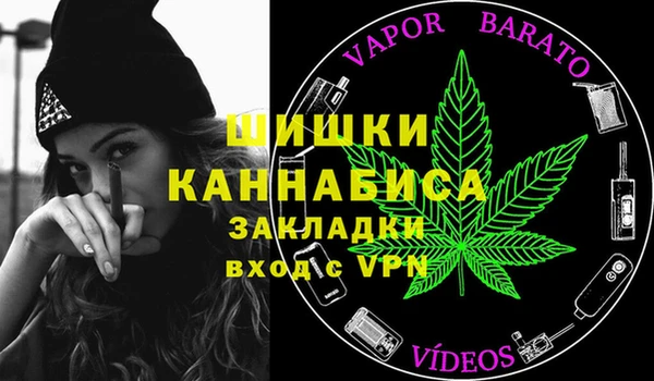 прущие грибы Бронницы