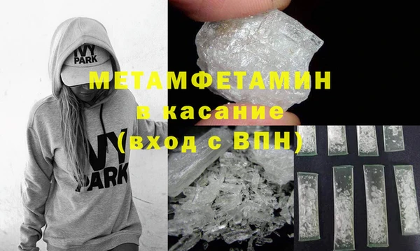 прущие грибы Бронницы
