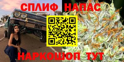 прущие грибы Ярцево