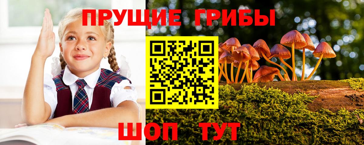 Галлюциногенные грибы прущие грибы  Вход с VPN  Мончегорск 